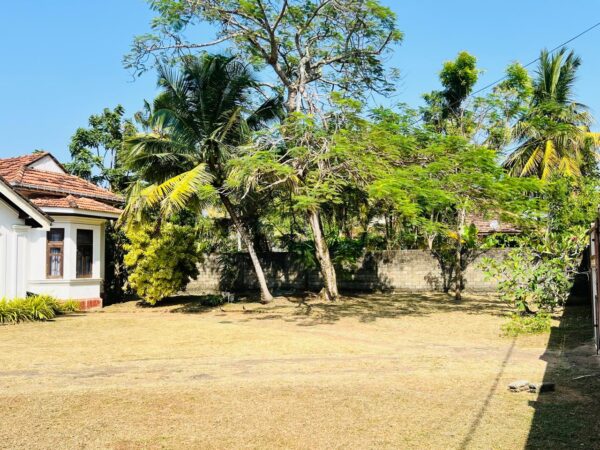 Heritage Bungalow and  land in Panadura - Image 9