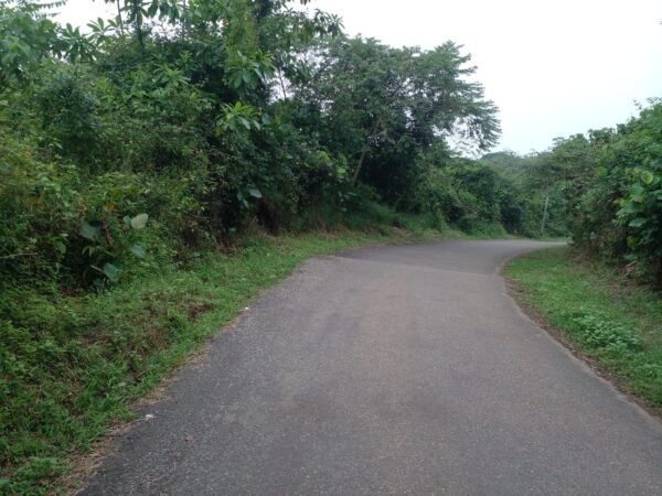 7.5 Acres (1,200 Perches) Land for Sale in Millawa